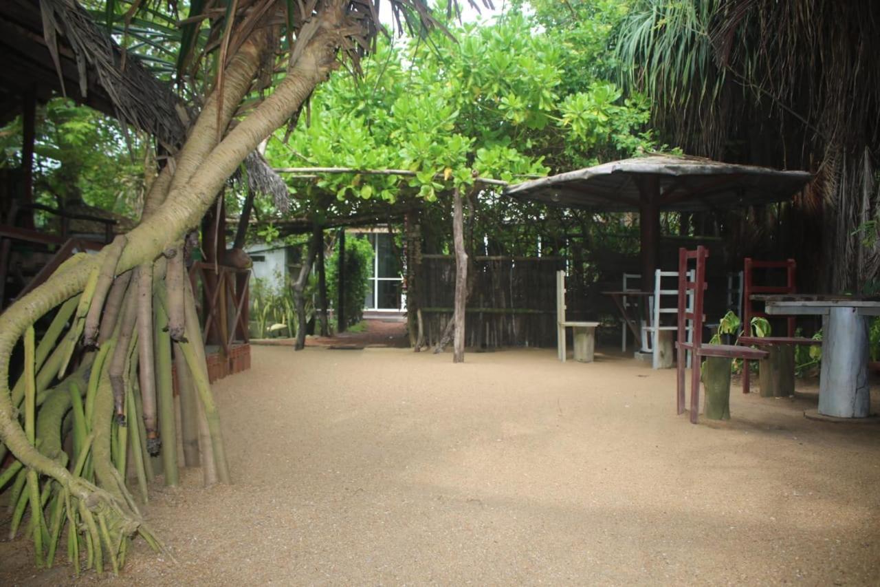 Happy Cocos Beach House 瓦斯卡杜瓦 外观 照片