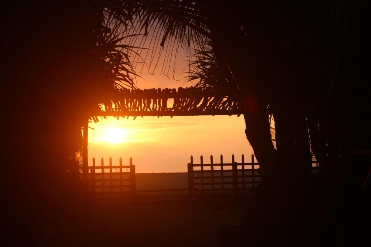 Happy Cocos Beach House 瓦斯卡杜瓦 外观 照片