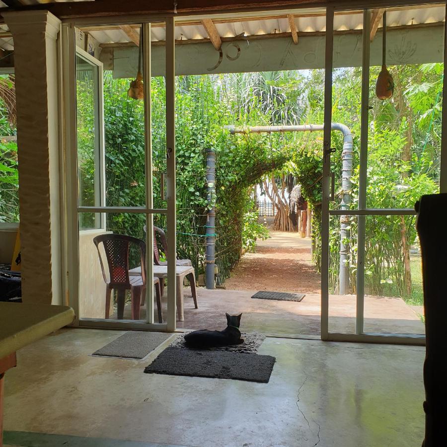 Happy Cocos Beach House 瓦斯卡杜瓦 外观 照片